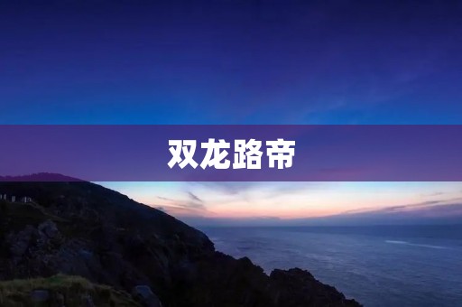 双龙路帝：打造城市美学新地标