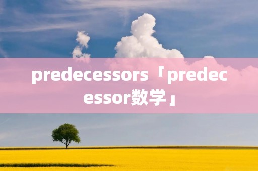 predecessors「predecessor数学」