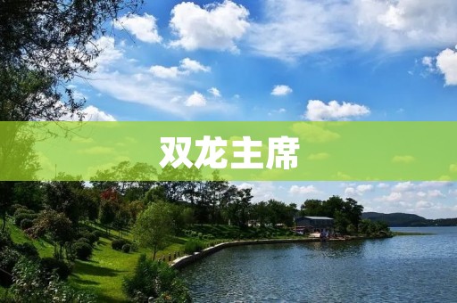 双龙主席:以高质量发展为引领,加速汽车产业转型升级 双龙主席:以高质量发展为引领,加速汽车产业转型升级