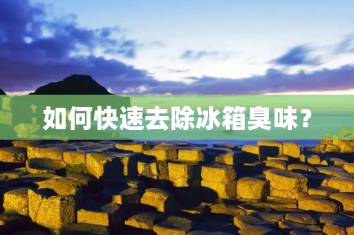 如何快速去除冰箱臭味? 如何快速去除冰箱臭味?