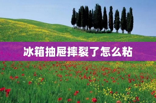 冰箱抽屉摔裂了怎么粘：详细操作指南