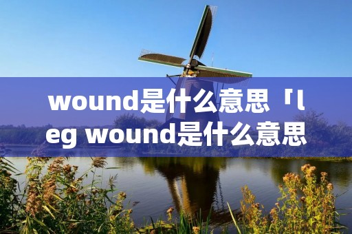 wound是什么意思「leg wound是什么意思」
