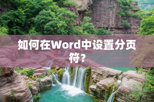 如何在Word中设置分页符？
