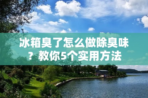 冰箱臭了怎么做除臭味?教你5个实用方法