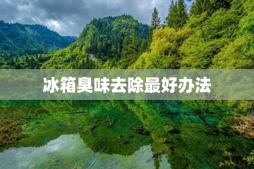 冰箱臭味去除最好办法:详细解决方案 冰箱臭味去除最好办法:详细解决方案