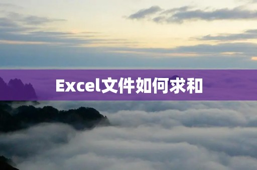 Excel文件如何求和