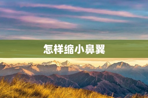 怎样缩小鼻翼:美丽鼻翼缩小术详解 怎样缩小鼻翼:美丽鼻翼缩小术详解