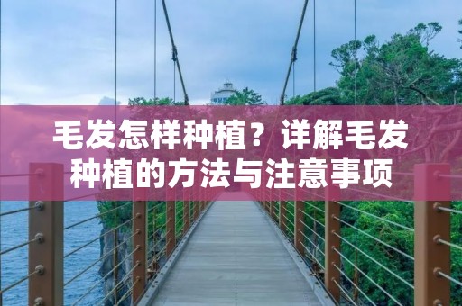 毛发怎样种植?详解毛发种植的方法与注意事项 毛发怎样种植?详解毛发种植的方法与注意事项