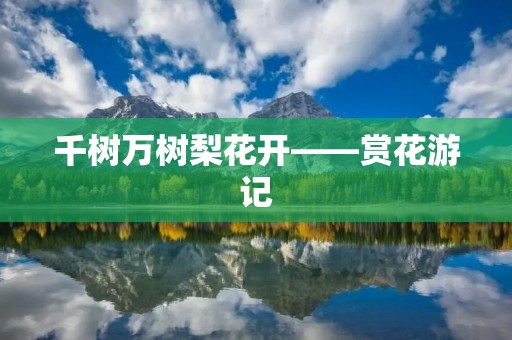 千树万树梨花开——赏花游记
