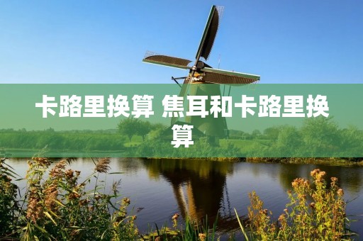 卡路里换算 焦耳和卡路里换算