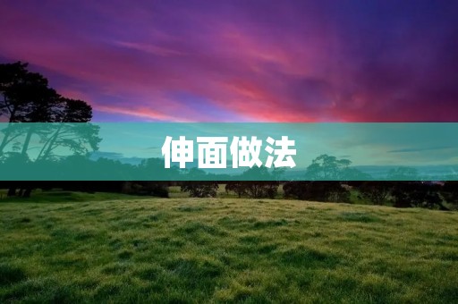 伸面做法:快速简单的面条制作 伸面做法:快速简单的面条制作