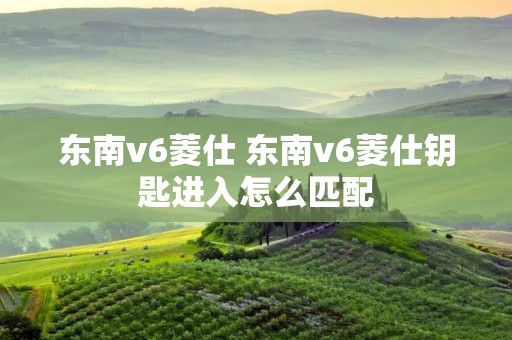 东南v6菱仕 东南v6菱仕钥匙进入怎么匹配 东南v6菱仕 东南v6菱仕钥匙进入怎么匹配