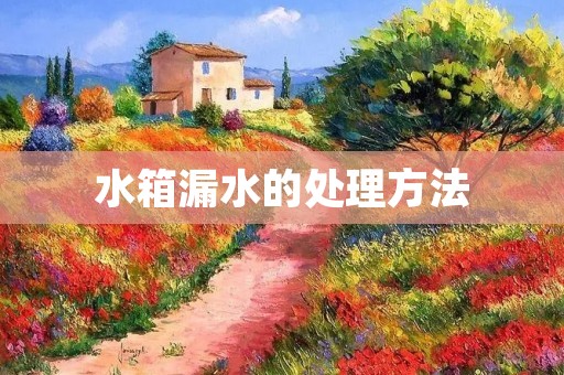 水箱漏水的处理方法