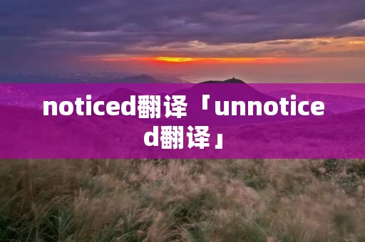 noticed翻译「unnoticed翻译」