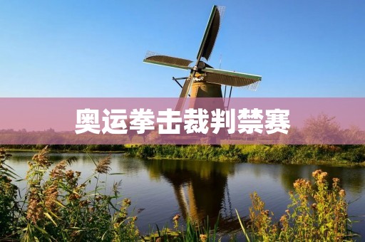 奥运拳击裁判禁赛：裁判员的失职与惩罚
