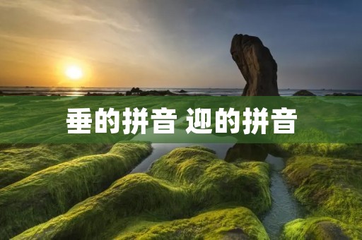 垂的拼音 迎的拼音