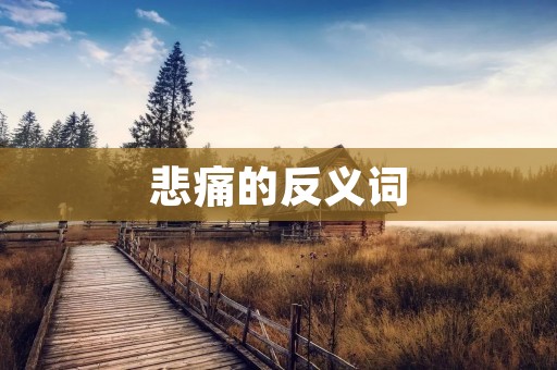 悲痛的反义词:快乐