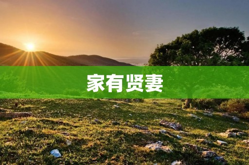 家有贤妻:她的智慧与勤劳 家有贤妻:她的智慧与勤劳