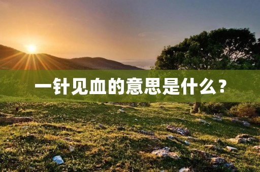 一针见血的意思是什么?