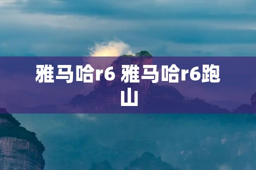 雅马哈r6 雅马哈r6跑山