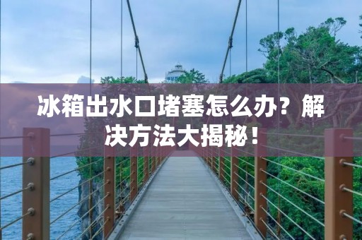 冰箱出水口堵塞怎么办？解决方法大揭秘！