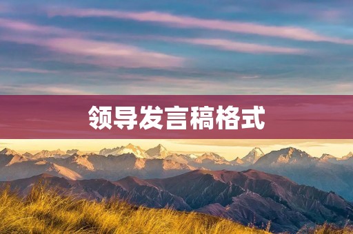 领导发言稿格式