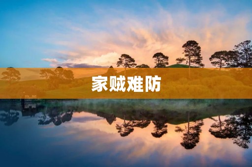 家贼难防：如何防范家庭内部的矛盾和**