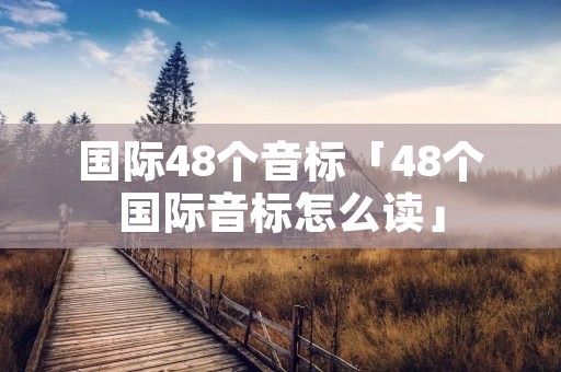国际48个音标「48个国际音标怎么读」