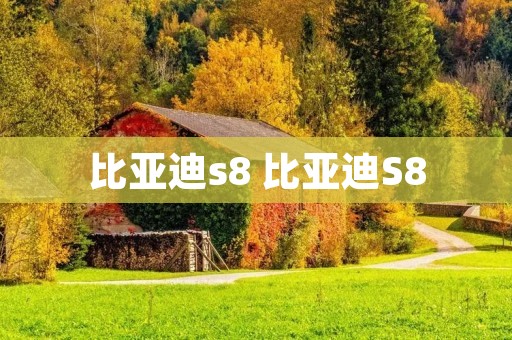 比亚迪s8 比亚迪S8