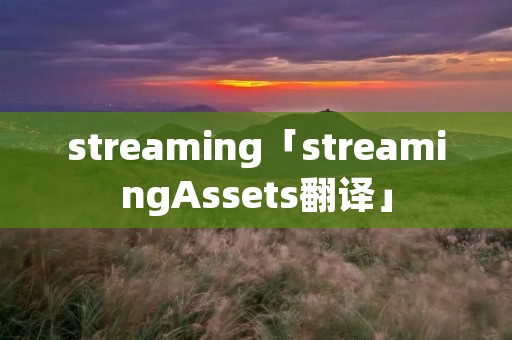 streaming「streamingAssets翻译」 streaming「streamingAssets翻译」