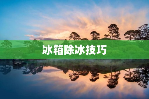 冰箱除冰技巧：让你快速除掉冰箱结冰