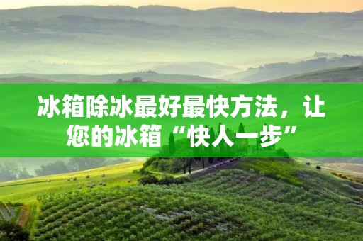 冰箱除冰最好最快方法，让您的冰箱“快人一步”