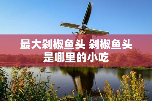 最大剁椒鱼头 剁椒鱼头是哪里的小吃