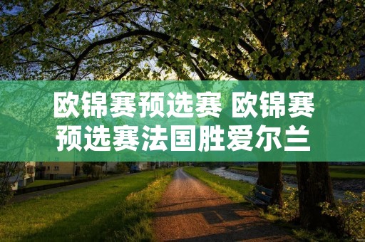 欧锦赛预选赛 欧锦赛预选赛法国胜爱尔兰
