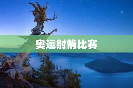 奥运射箭比赛:弓箭手们的精准射击之战 奥运射箭比赛:弓箭手们的精准射击之战