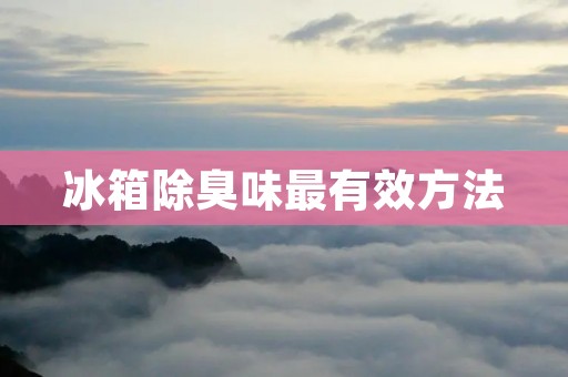 冰箱除臭味最有效方法:让你的冰箱重新闻起来清新