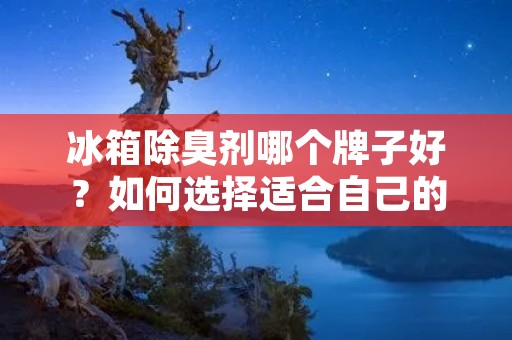冰箱除臭剂哪个牌子好？如何选择适合自己的冰箱除臭剂？