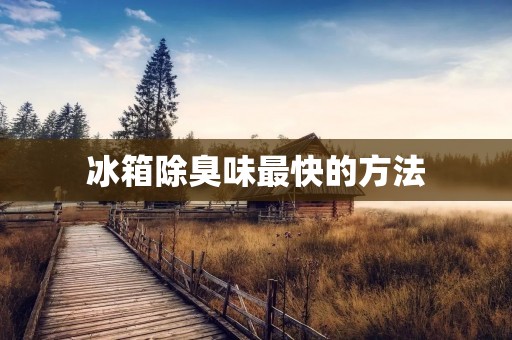 冰箱除臭味最快的方法:让你的冰箱重新恢复清新