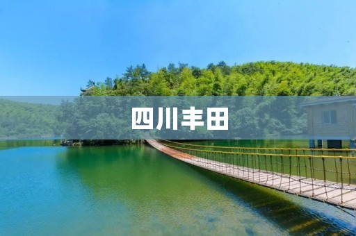 四川丰田:以质量赢得市场 四川丰田:以质量赢得市场