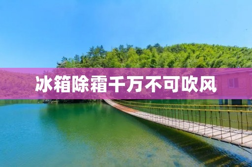冰箱除霜千万不可吹风