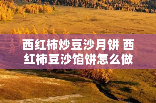 西红柿炒豆沙月饼 西红柿豆沙馅饼怎么做 西红柿炒豆沙月饼 西红柿豆沙馅饼怎么做