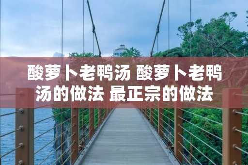 酸萝卜老鸭汤 酸萝卜老鸭汤的做法 最正宗的做法