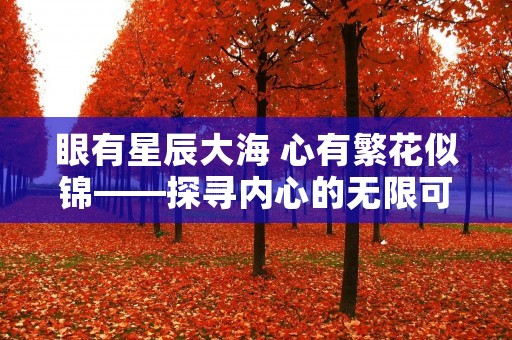 眼有星辰大海 心有繁花似锦——探寻内心的无限可能