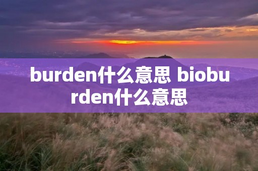 burden什么意思 bioburden什么意思 burden什么意思 bioburden什么意思