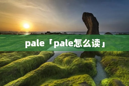 pale「pale怎么读」