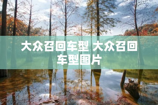 大众召回车型 大众召回车型图片