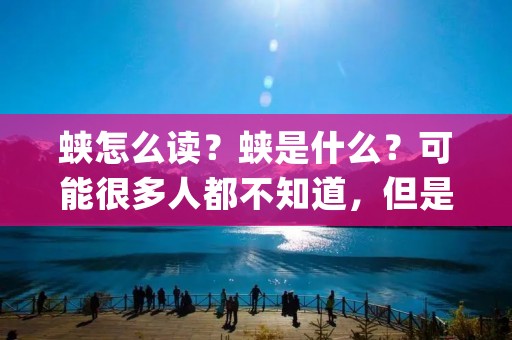 蛱怎么读？蛱是什么？可能很多人都不知道，但是在中国传统文化中，蛱是一种很重要的符号，它代表着吉祥和幸福。那么，蛱怎么读呢？其实，“蛱”这个字的读音是“jiá”，它是一种蝴蝶的别称。蛱蝶是一种美丽的昆虫，它们的翅膀上有各种各样的花纹，非常漂亮。在中国，蛱蝶被视为吉祥的象征，被广泛应用于文化和艺术领域。