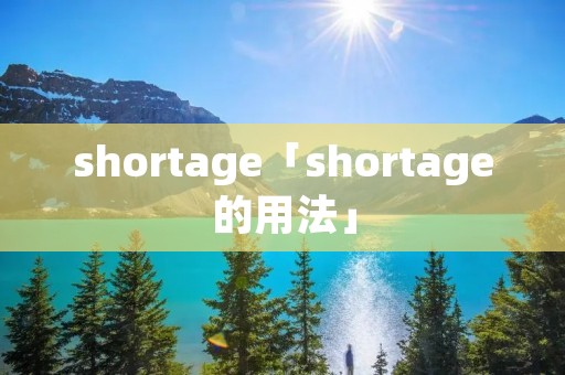 shortage「shortage的用法」