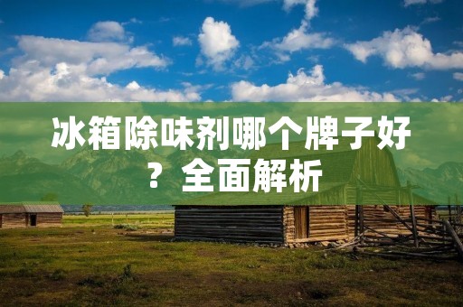 冰箱除味剂哪个牌子好？全面解析