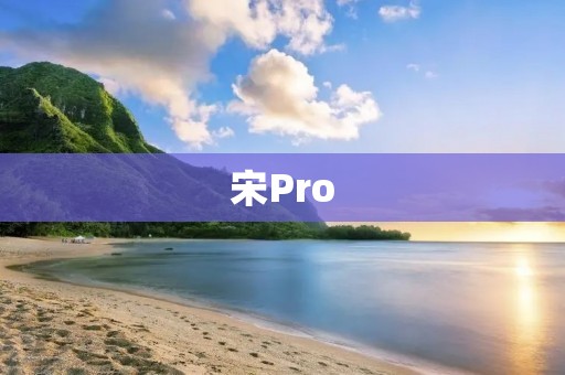 宋Pro：一款高性能的轻薄笔记本电脑